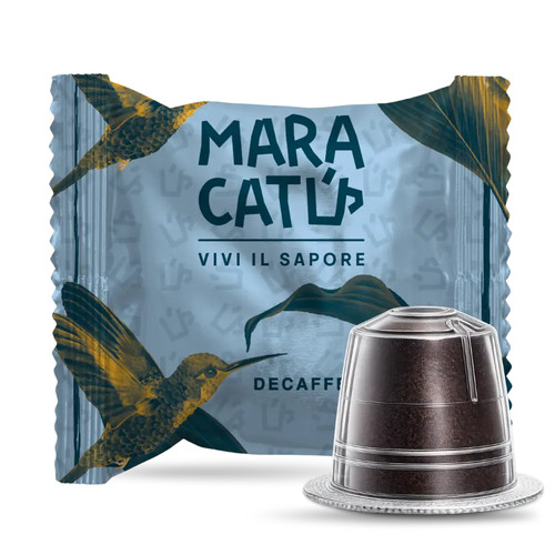 100 capsule caffè maracatú - capsule,