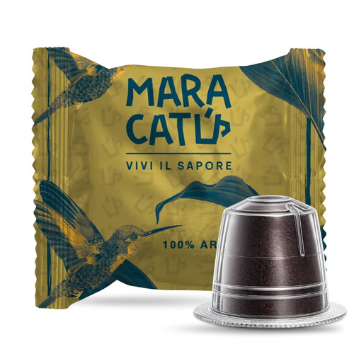 200 capsule maracatú 100 - 200, 100%
